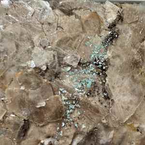 Common Ground (No. 2) by Katherine Filice 