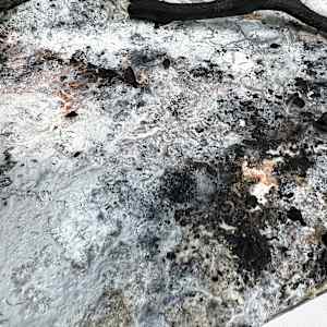 Common Ground (No. 5) by Katherine Filice 