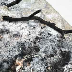 Common Ground (No. 5) by Katherine Filice 