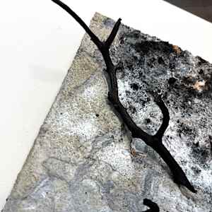 Common Ground (No. 5) by Katherine Filice 