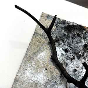 Common Ground (No. 5) by Katherine Filice 