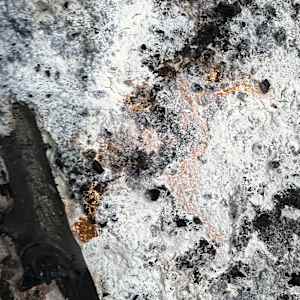 Common Ground (No. 5) by Katherine Filice 