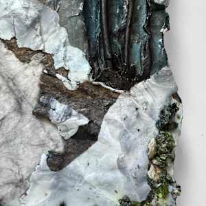 Common Ground (No. 8) by Katherine Filice 