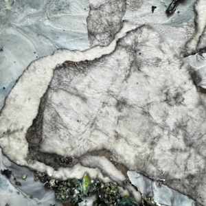 Common Ground (No. 8) by Katherine Filice 