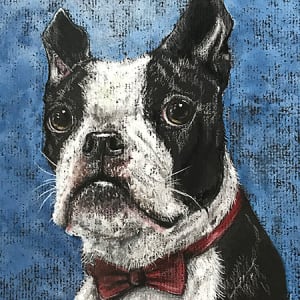 Mr. Handsome, Boston Terrier by Kristen Wickersham