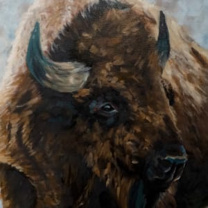 Bison in the Winter by Kristen Wickersham
