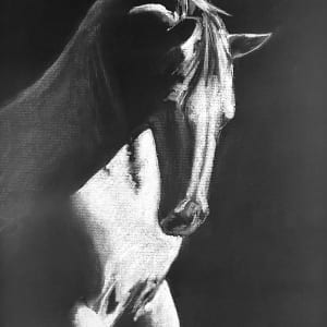 White Horse by Kristen Wickersham