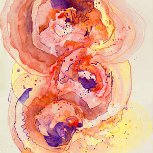 Blooming flower by Mandy Damirali