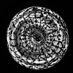 Varis, Müzil, Gafur, Rahman