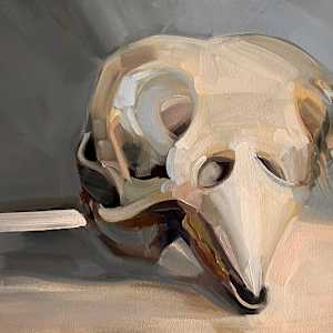 Eury-Birdy (or, Silent Flight) by Sarah Theobald-Hall