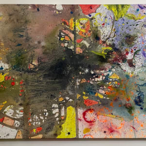 Pollen by Oma Okolo, Image 14.