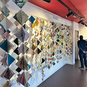 The Penny Drops by Oma Okolo 