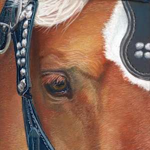Witness by Marcia Blanco, Image 1.