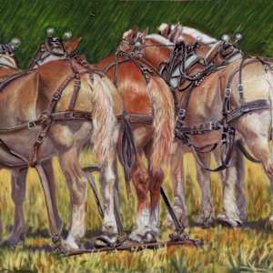 “The Conversation" by Marcia Blanco