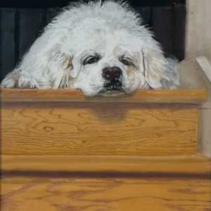 Heddy, Who Knows You Are Leaving Without Her by Marcia Blanco, Image 1.