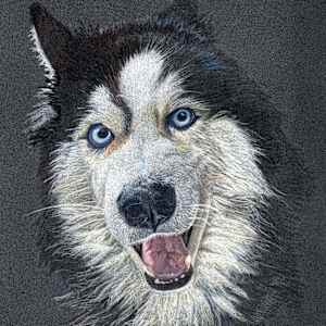 Juan David's Best Bud by Marcia Blanco, Image 1.