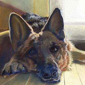 Tsuki in the Morning Light by Marcia Blanco, Image 1.