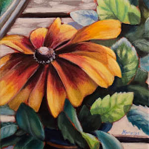 Gloriosa by Jessica Kunnas