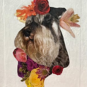 Schnauzer by Mariana D Kramer