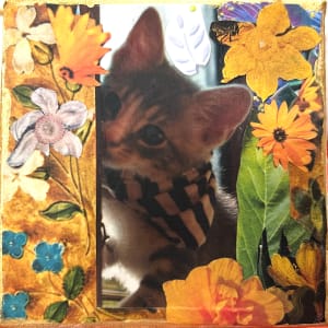 Gatito by Mariana D Kramer