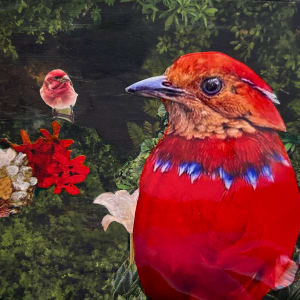 Big Bird Little Bird by Mariana D Kramer