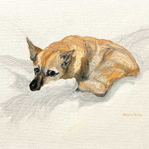 Portrait of Lucy by Mariana D Kramer