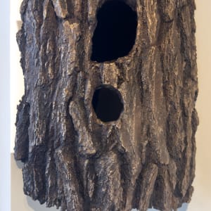 Pileated Tree/White Pine by John Hallett 