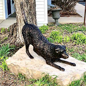Birkie the Lab by John Hallett, Image 6.