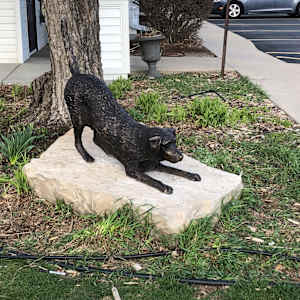 Birkie the Lab by John Hallett, Image 2.
