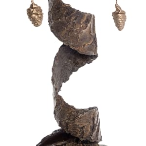 Renaissance (Pinus strobus) by John Hallett 