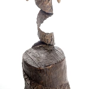 Renaissance (Pinus strobus) by John Hallett 