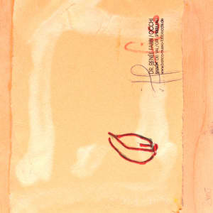 Fico by Renee Fabbiocchi 