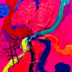 STELLINAE by Renee Fabbiocchi 