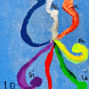 STELLINAE by Renee Fabbiocchi 