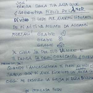 Logo DDMF by Renee Fabbiocchi 