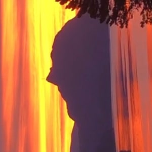 Omaggio a Hermann Hesse by Renee Fabbiocchi 