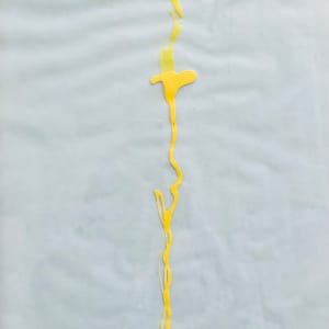 Angioletto del Sacro (2) by Renee Fabbiocchi 