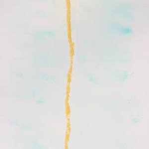 Sacri (14) by Renee Fabbiocchi 