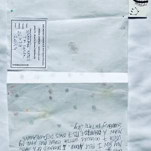 Singapore Notes by Renee Fabbiocchi 