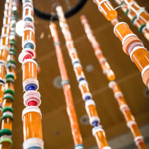 Ecological Artwork by Irit Ovadia Rosenberg 