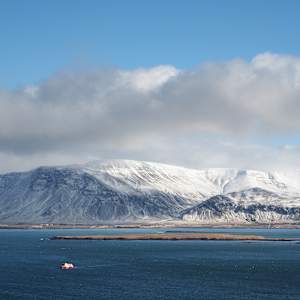 Heading Back to the Harbour by Mary O'Malley-Joyce, Image 1.