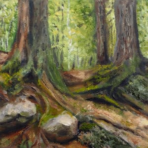 Tree Series #7 - White Mountain Tree Roots by Mary O'Malley-Joyce