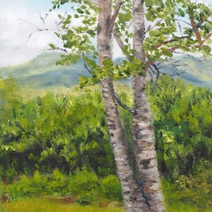 Tree Series #6 - White Mountain Birch by Mary O'Malley-Joyce