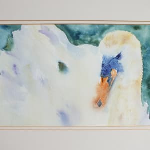 Swanning Around  Image: Swanning Around - Mounted Watercolour Painting
