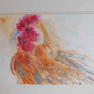 Chicken Runs  Image: Chicken Runs - Bird Study Mounted