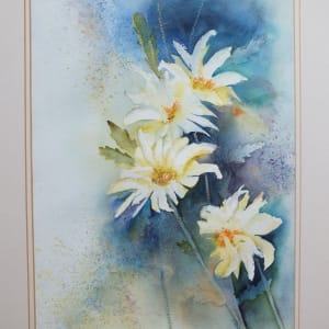 Daisies by Sarion Gravelle-Harris  Image: Daisies - Garden Flowers Mounted