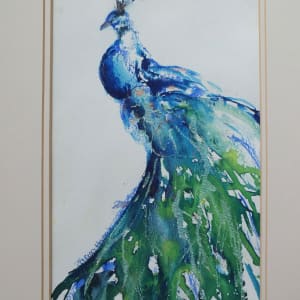 Le Paon by Sarion Gravelle-Harris  Image: Le Paon - Peacock Study Mounted