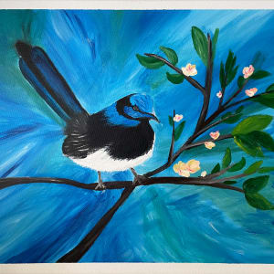 Blue Wren by Hayley