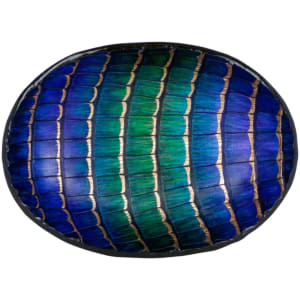 Temple on the Nile by Laura Shape