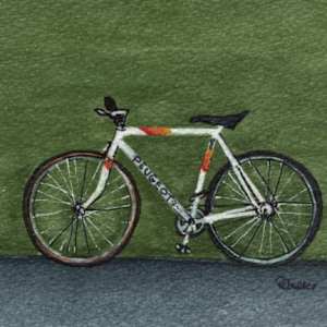 Bicycle Green by Rosalynd Coulter Semple